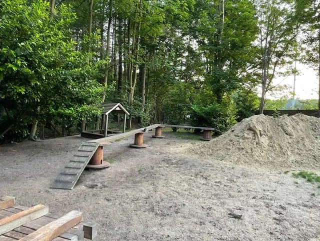 Behendigheidsparcours met evenwichtsbalk tussen de bomen