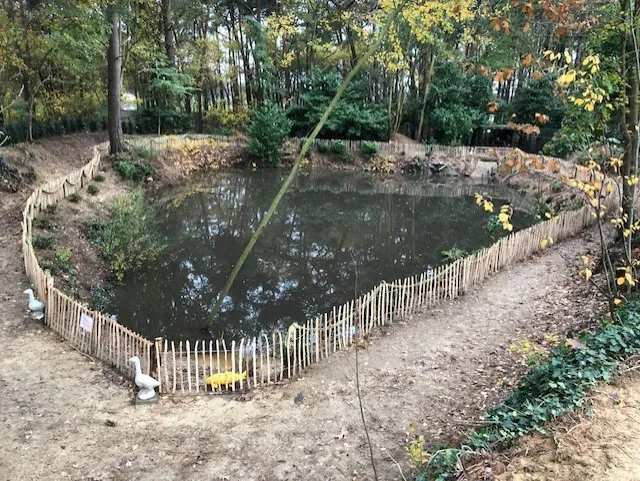 De vijver omringd door bomen en een houten omheining