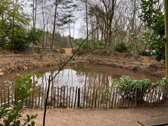 De omheinde vijver in het hondenspeelbos