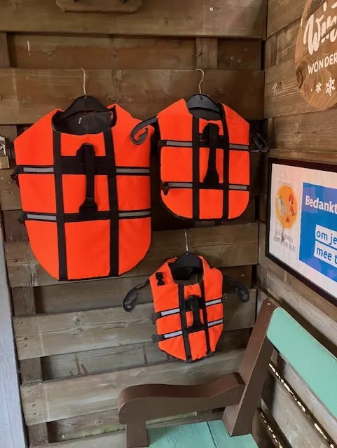 Oranje zwemvestjes voor honden hangen klaar